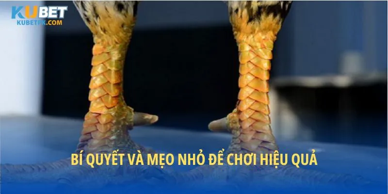 Bí quyết và mẹo nhỏ để chơi hiệu quả